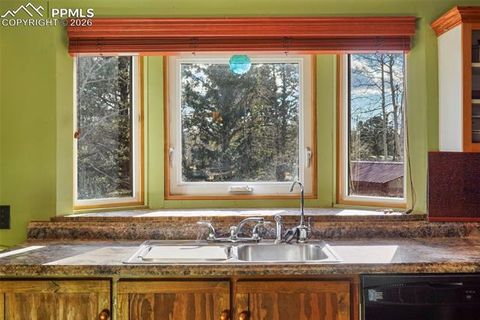 Tiny photo for 310 Ridge Road, Divide, CO 80814 (MLS # 5922554)