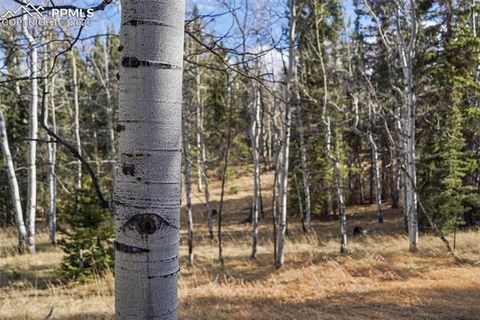 Tiny photo for 310 Ridge Road, Divide, CO 80814 (MLS # 5922554)