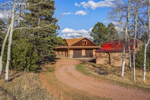 Photo of 310 Ridge Road, Divide, CO 80814 (MLS # 5922554)