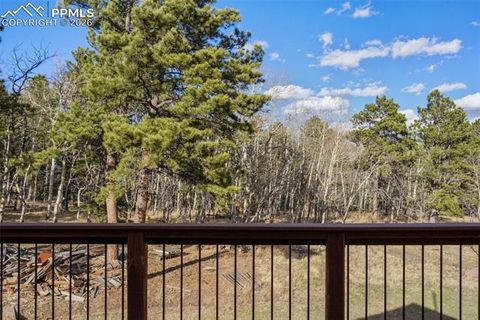 Tiny photo for 310 Ridge Road, Divide, CO 80814 (MLS # 5922554)