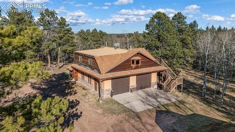 Tiny photo for 310 Ridge Road, Divide, CO 80814 (MLS # 5922554)