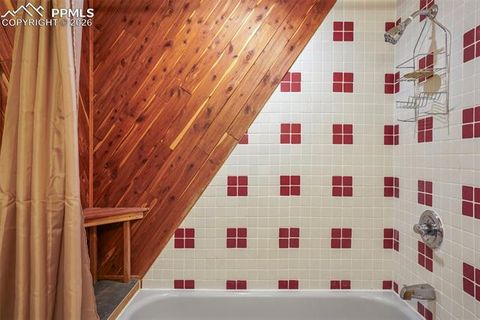 Tiny photo for 310 Ridge Road, Divide, CO 80814 (MLS # 5922554)