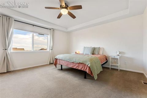 Tiny photo for 5747 Leon Young Drive, Colorado Springs, CO 80924 (MLS # 5372435)