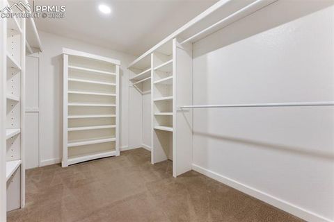 Tiny photo for 5747 Leon Young Drive, Colorado Springs, CO 80924 (MLS # 5372435)