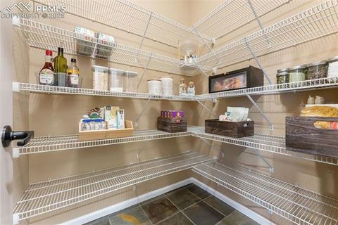 Tiny photo for 5747 Leon Young Drive, Colorado Springs, CO 80924 (MLS # 5372435)