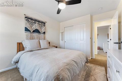 Tiny photo for 5747 Leon Young Drive, Colorado Springs, CO 80924 (MLS # 5372435)
