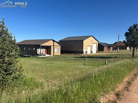 Photo of 489 Due South Road, Florissant, CO 80816 (MLS # 1923559)