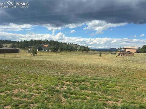 Tiny photo for 489 Due South Road, Florissant, CO 80816 (MLS # 1923559)