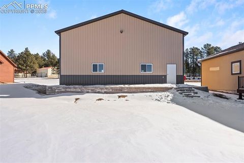 Tiny photo for 489 Due South Road, Florissant, CO 80816 (MLS # 1923559)