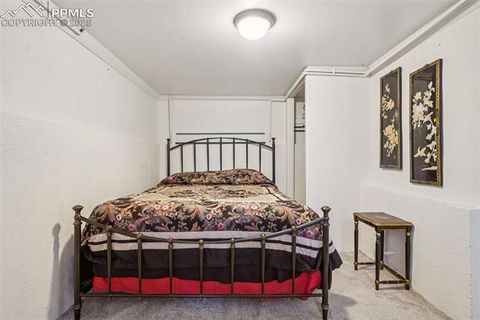 Tiny photo for 9025 Picabo Road, Cascade, CO 80809 (MLS # 1129963)