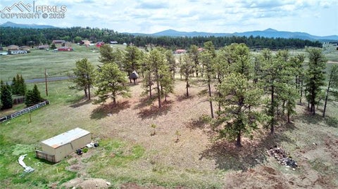 Tiny photo for 13599 County Road 1, Florissant, CO 80816 (MLS # 3085006)