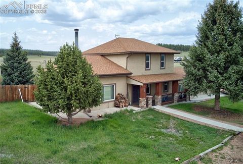 Photo of 13599 County Road 1, Florissant, CO 80816 (MLS # 3085006)