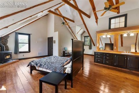 Tiny photo for 34 Piute Circle, Florissant, CO 80816 (MLS # 9386192)