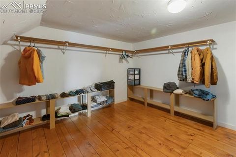 Tiny photo for 34 Piute Circle, Florissant, CO 80816 (MLS # 9386192)