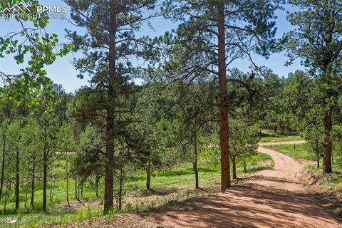 Tiny photo for 34 Piute Circle, Florissant, CO 80816 (MLS # 9386192)