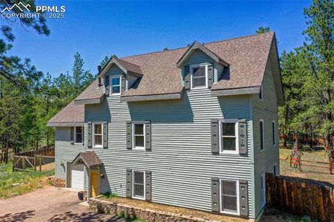 Tiny photo for 34 Piute Circle, Florissant, CO 80816 (MLS # 9386192)