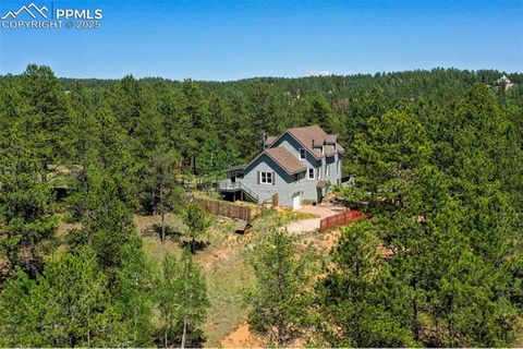 Tiny photo for 34 Piute Circle, Florissant, CO 80816 (MLS # 9386192)