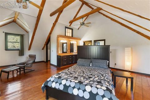 Tiny photo for 34 Piute Circle, Florissant, CO 80816 (MLS # 9386192)