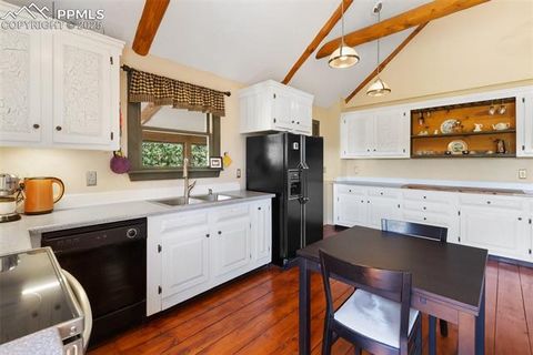 Tiny photo for 34 Piute Circle, Florissant, CO 80816 (MLS # 9386192)