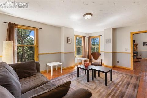 Tiny photo for 34 Piute Circle, Florissant, CO 80816 (MLS # 9386192)