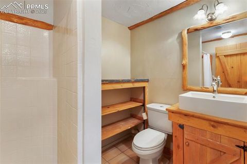 Tiny photo for 34 Piute Circle, Florissant, CO 80816 (MLS # 9386192)