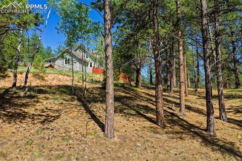 Tiny photo for 34 Piute Circle, Florissant, CO 80816 (MLS # 9386192)
