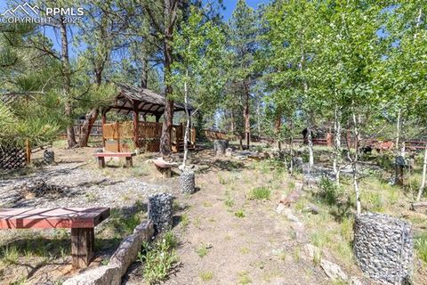 Tiny photo for 34 Piute Circle, Florissant, CO 80816 (MLS # 9386192)