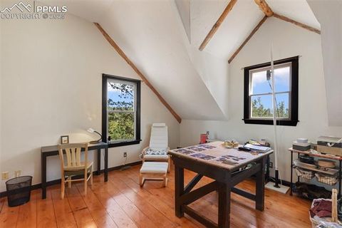 Tiny photo for 34 Piute Circle, Florissant, CO 80816 (MLS # 9386192)