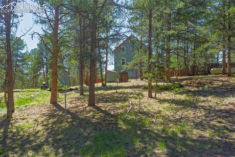 Tiny photo for 34 Piute Circle, Florissant, CO 80816 (MLS # 9386192)