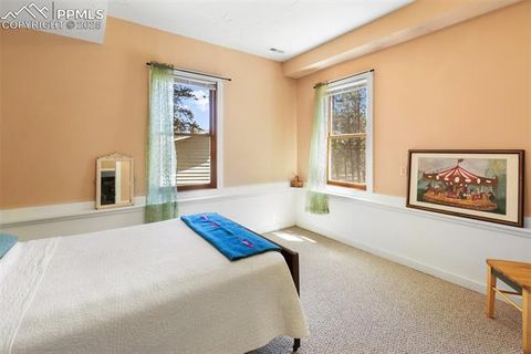 Tiny photo for 34 Piute Circle, Florissant, CO 80816 (MLS # 9386192)