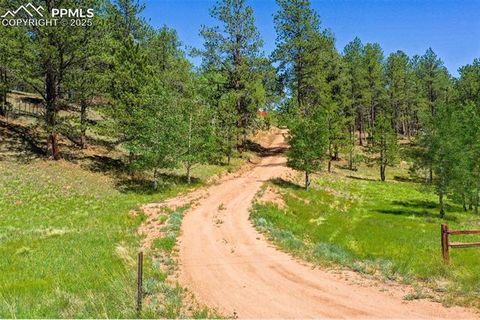 Tiny photo for 34 Piute Circle, Florissant, CO 80816 (MLS # 9386192)