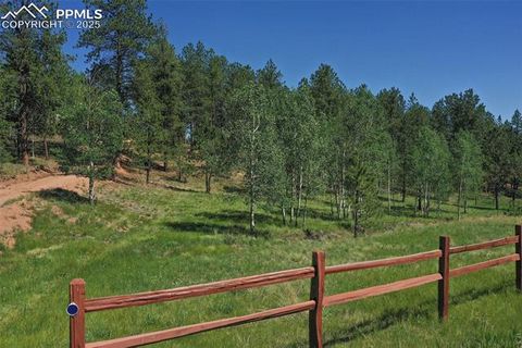 Tiny photo for 34 Piute Circle, Florissant, CO 80816 (MLS # 9386192)