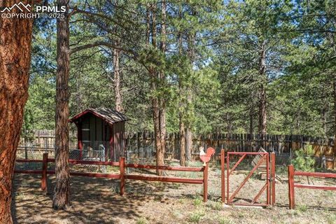 Tiny photo for 34 Piute Circle, Florissant, CO 80816 (MLS # 9386192)