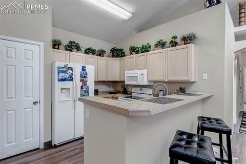 Tiny photo for 1162 Samuel Point, Colorado Springs, CO 80906 (MLS # 7596233)
