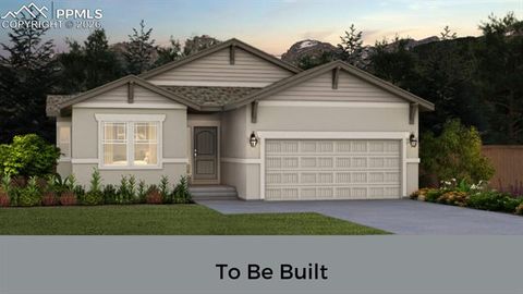 112 Limbach Court Monument CO 80132