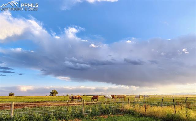 Properties For Sale Listings 22445 Jones Road