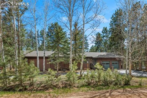 Tiny photo for 725 Sunnywood Loop, Woodland Park, CO 80863 (MLS # 2012075)