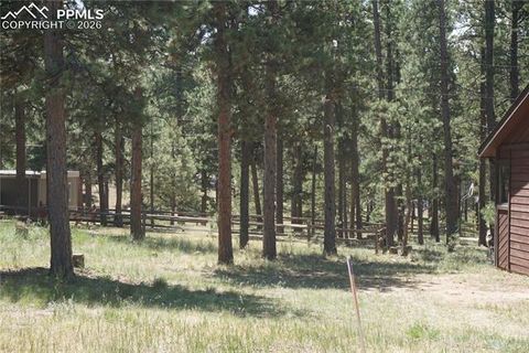 Tiny photo for 725 Sunnywood Loop, Woodland Park, CO 80863 (MLS # 2012075)