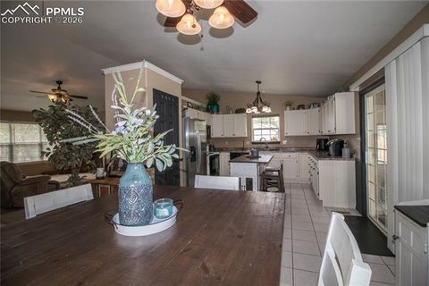 Tiny photo for 560 N Robinson Avenue, Florence, CO 81226 (MLS # 2862569)