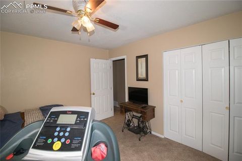 Tiny photo for 560 N Robinson Avenue, Florence, CO 81226 (MLS # 2862569)