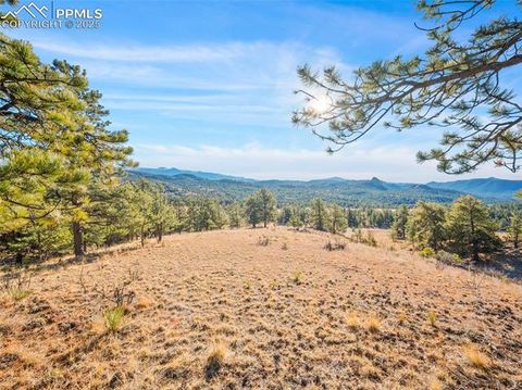 Photo of 2706 Southpark Road, Florissant, CO 80816 (MLS # 9254854)