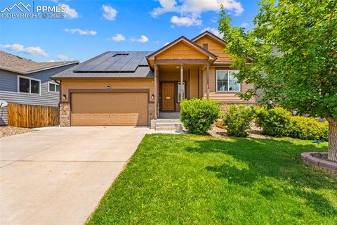 Photo of 4651 Dancing Rain Way, Colorado Springs, CO 80911 (MLS # 6071208)