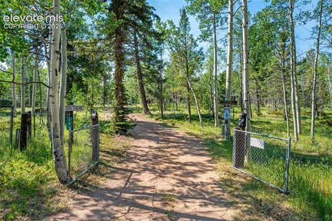 Photo of 106 Forest Court, Guffey, CO 80820 (MLS # 8823654)