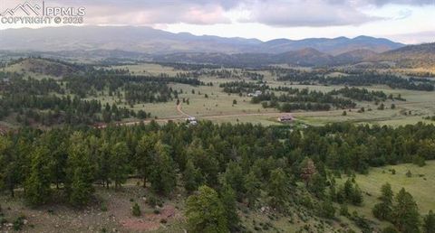 Photo of 2502 County Road 88, Guffey, CO 80820 (MLS # 6593632)