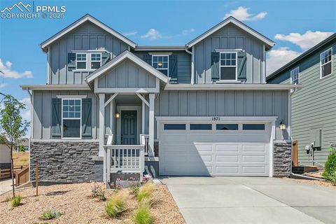 1871 Water Birch Way Castle Rock CO 80108