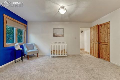 Tiny photo for 14695 Roller Coaster Road, Colorado Springs, CO 80921 (MLS # 1947603)
