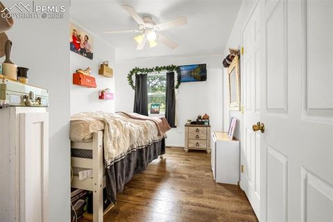Tiny photo for 406 High Pasture Road, Florissant, CO 80816 (MLS # 9339879)