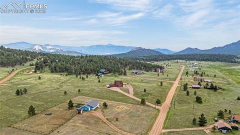 Tiny photo for 406 High Pasture Road, Florissant, CO 80816 (MLS # 9339879)