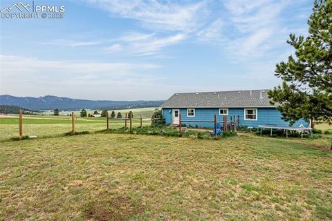 Tiny photo for 406 High Pasture Road, Florissant, CO 80816 (MLS # 9339879)