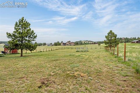 Tiny photo for 406 High Pasture Road, Florissant, CO 80816 (MLS # 9339879)
